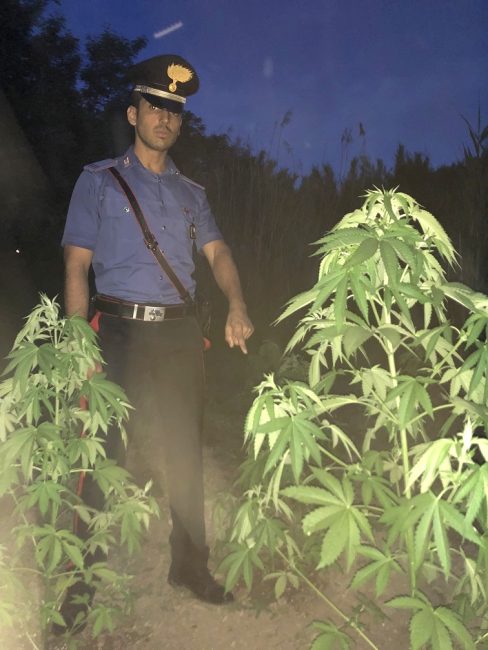 I carabinieri con la marijuana trovata nella notte