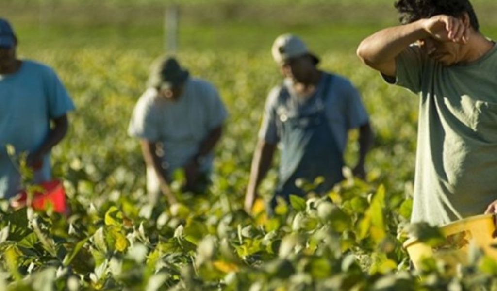 Lavoro nero nei campi a Ostiglia: cinque persone arrestate
