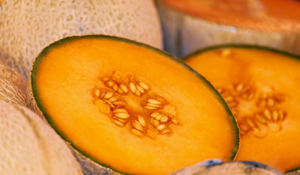 Anche la coltivazione del melone risente dei cambiamenti climatici