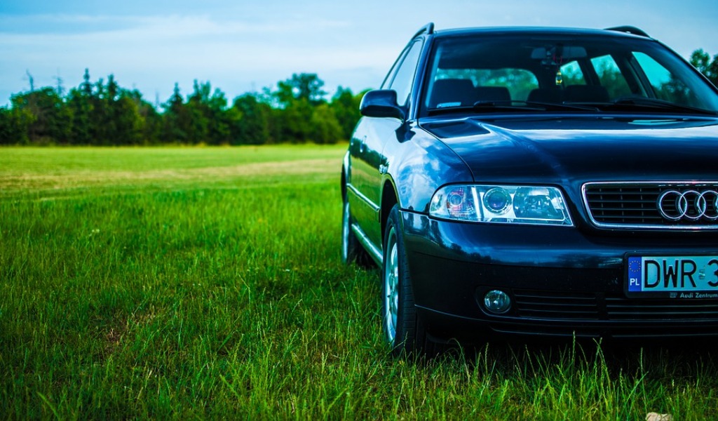 Parco del Mincio utilizzato come parcheggio da una concessionaria: denunciati
