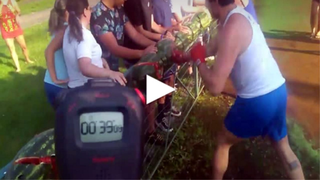 78 angurie spaccate a pugni: la Lombardia soffia il Guinness agli Usa VIDEO