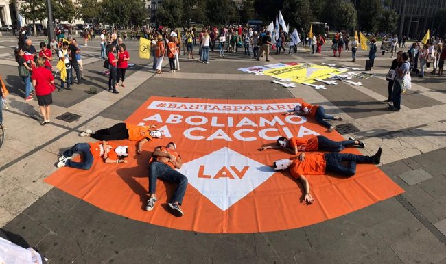 Il Tar blocca la riapertura dei roccoli, esultano gli animalisti