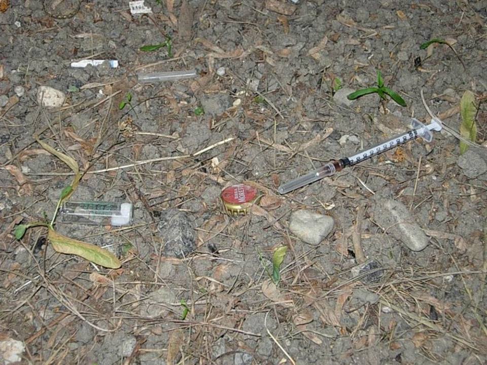 I giardini di viale Piave parco della droga: arrivano le telecamere