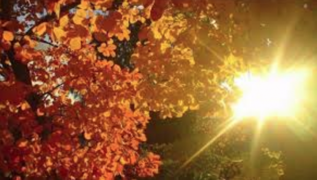 Novembre si chiude con il sole. Domenica ancora piogge | PREVISIONI MANTOVA