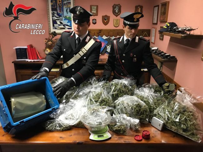 “Figli di marija”… tre fratelli gemelli beccati con 4 chili droga