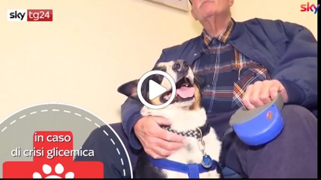 Giornata mondiale del diabete oggi 14 novembre 2019 VIDEO