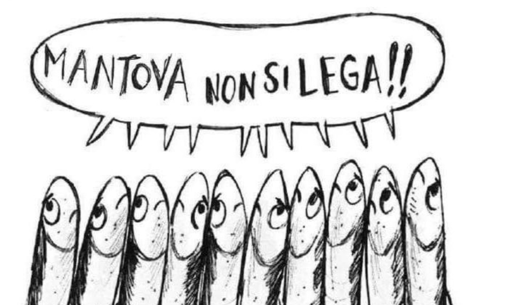 Il movimento delle Sardine è arrivato a Mantova e scende in piazza