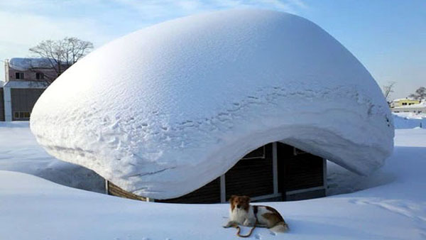 Domani neve su tutta Lombardia, anche in pianura (ma non sarà “Big snow”) PREVISIONI METEO