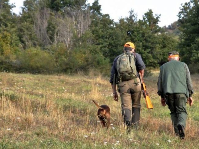 Una battuta di caccia in campagna (foto d'archivio)