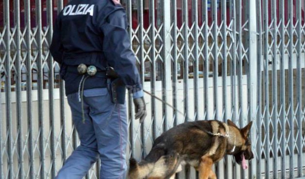 Controlli agli ingressi delle scuole e sui bus per contrastare lo spaccio
