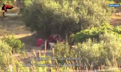 Maxi operazione 'Ndrangheta, 416 indagati: c'è anche un carabiniere, ex comandante a Viadana