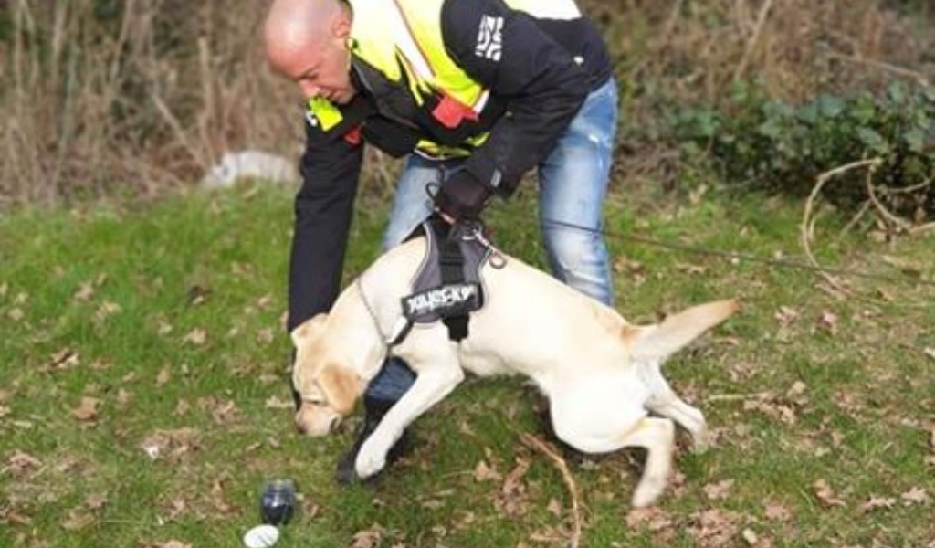 A Castiglione insegnano ai cani come trovare le persone scomparse