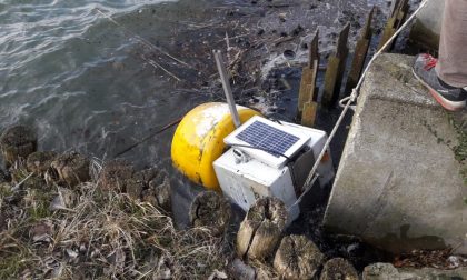 Parco del Mincio, vandali distruggono una delle boe usate per determinare la qualità idrica