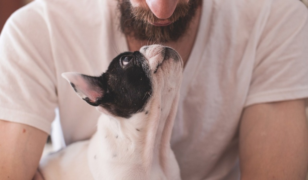 E’ così: gli animali domestici non trasmettono il Coronavirus