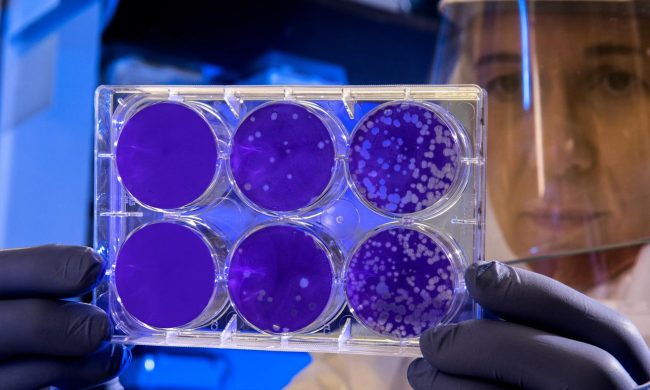 Coronavirus, 3.274 positivi: la situazione a Mantova e provincia lunedì 8 giugno 2020