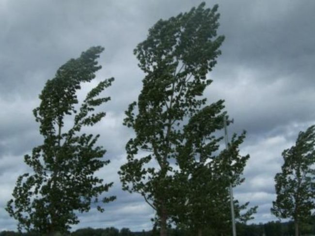 Allerta gialla per rischio vento forte, ma la Bassa può stare abbastanza tranquilla