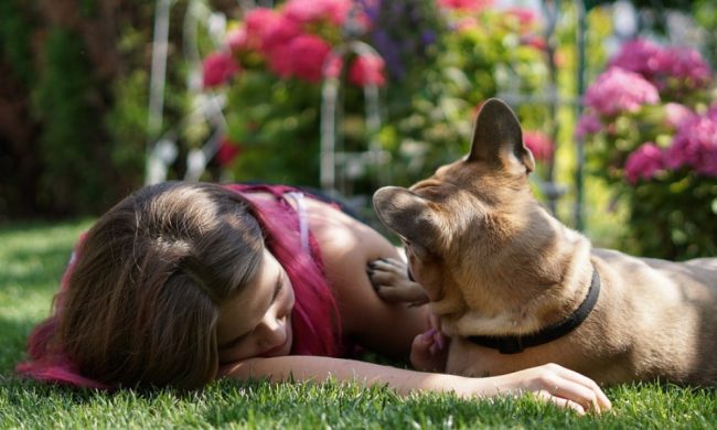 Coronavirus, 10 regole da rispettare per non correre rischi con Fido (e per essere un padrone civile)
