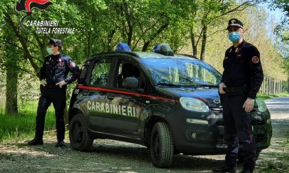 Pasqua 2020: in azione anche i Carabinieri Forestali in Lombardia