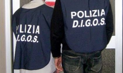 Manager violentemente aggredito in centro a Mantova: denunciato un 28enne che voleva "vendicarsi"