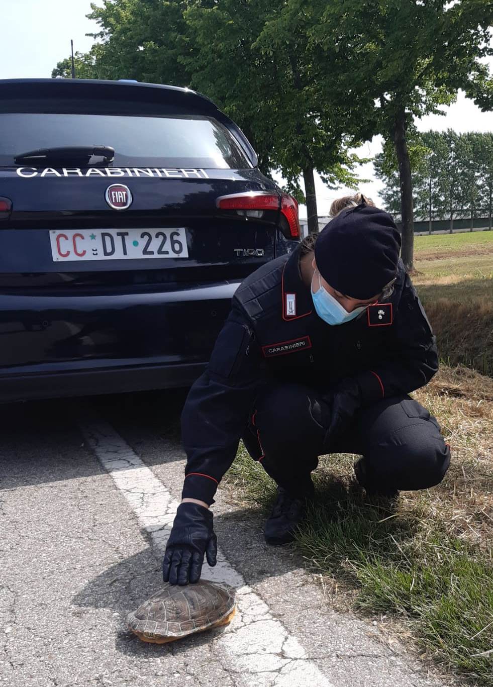 22052020 - SAN GIORGIO BIGARELLO - CARABINIERI SALVANO TARTARUGA PROTETTA