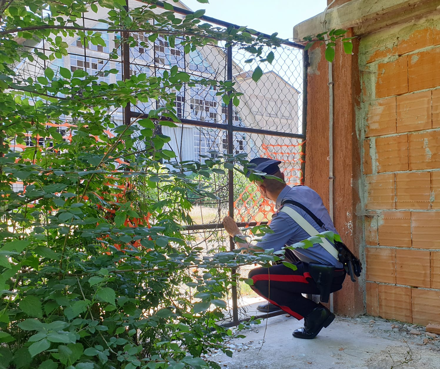 25052020 - MANTOVA – DA MERCATO ORTOFRUTTICOLO A MARKET DELLA DROGA. ALTRO SPACCIATORE ARRESTATO2