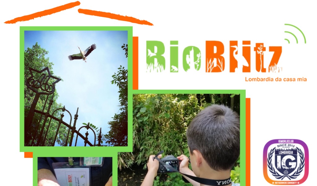 “Bioblitz, Lombardia da casa mia”: la proposta per godere le bellezze della natura ai tempi del Coronavirus