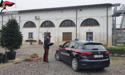 Dalla comunità di Marcaria al carcere: 17enne finisce al Beccaria