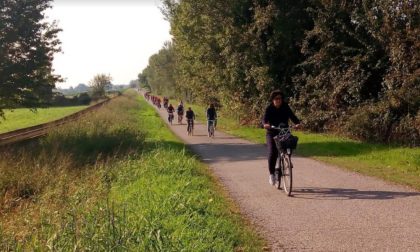 Di nuovo al Parco del Mincio insieme: i prossimi imperdibili appuntamenti all'aperto