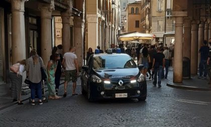 Via vai sospetto in casa: i Carabinieri scoprono 23 piante di cannabis