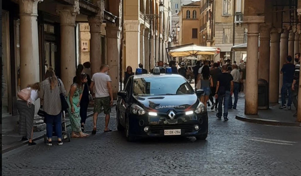 Via vai sospetto in casa: i Carabinieri scoprono 23 piante di cannabis