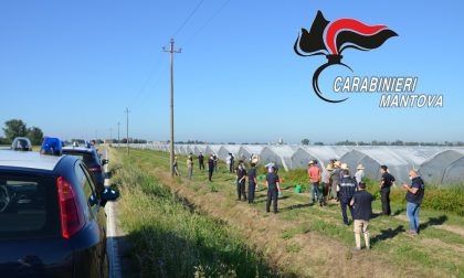 Controlli contro caporalato e sfruttamento del lavoro, nessuna irregolarità riscontrata FOTO