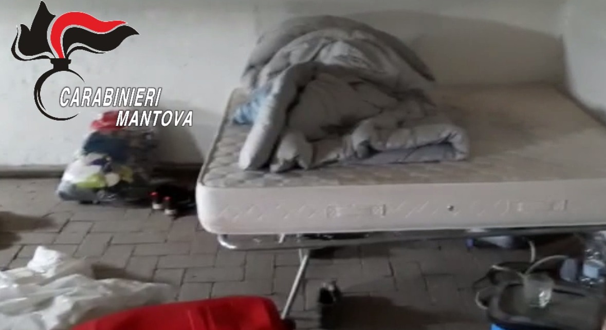 Lavoro irregolare e condizioni igieniche precarie: sanzionata e sospesa azienda agricola VIDEO