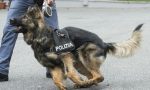Il cane poliziotto "Tarol" scova la coca al distributore di benzina
