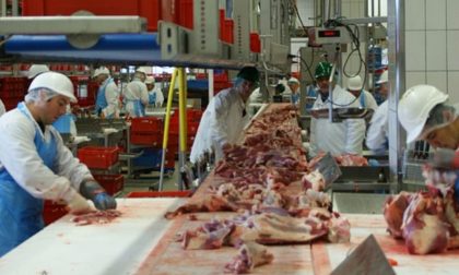 Allarme Covid: nuovo focolaio in un macello nel Mantovano