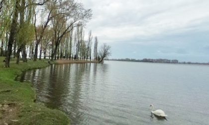 Balneabilità del Lago Superiore di Mantova: i risultati sono positivi