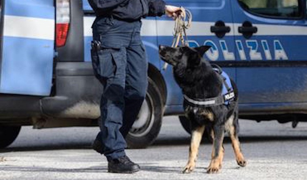 Sgominata banda di spacciatori: 12 arresti, coinvolta anche Mantova