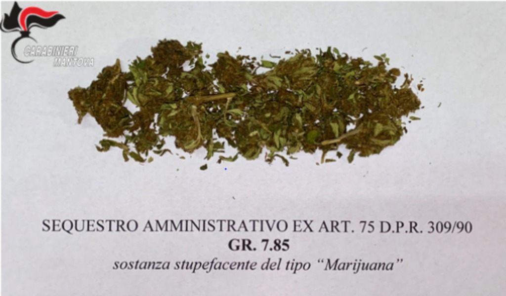 21enne trovato con 8 grammi di marijuana, segnalato all’Autorità Giudiziaria