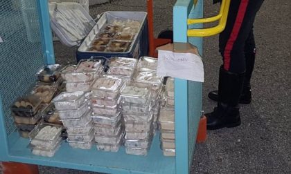Trasporta alimenti in pessime condizioni igieniche: scoperto dopo aver causato un incidente