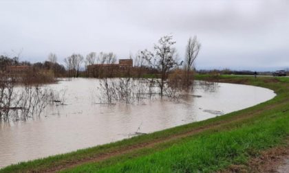 Livello record per il Secchia: raggiunti 11,70 metri alla chiavica di Bondanello