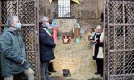 Inaugurato il Presepe nel Campanile di San Domenico FOTO