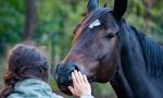 Lo stress da lockdown si combatte con la ippoterapia: cavalli in azione contro ansia e depressione