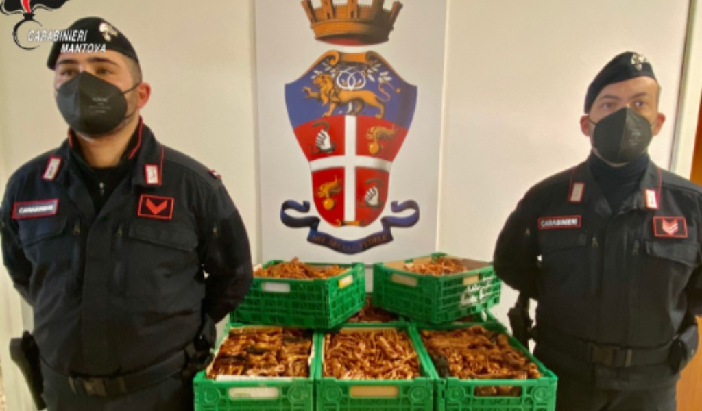 Ruba 152 kg di rame ma viene colto con le mani nel sacco