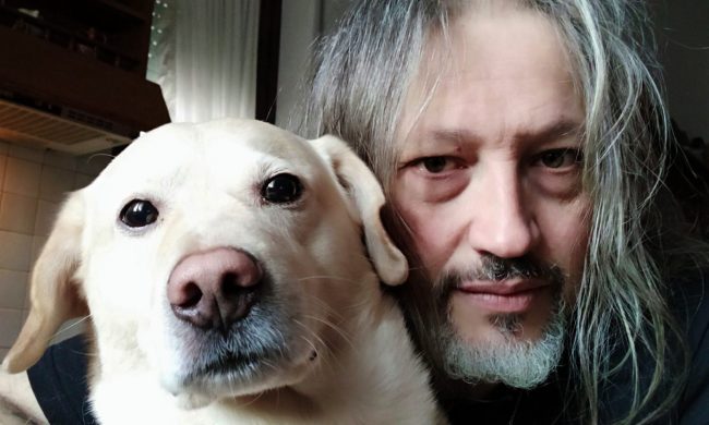 Il labrador Beethoven muore a 7 anni avvelenato, la disperazione del padrone: “Mi hanno ucciso un figlio”