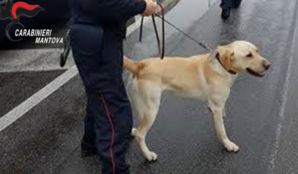 Maxi retata di spacciatori a Castiglione delle Stiviere