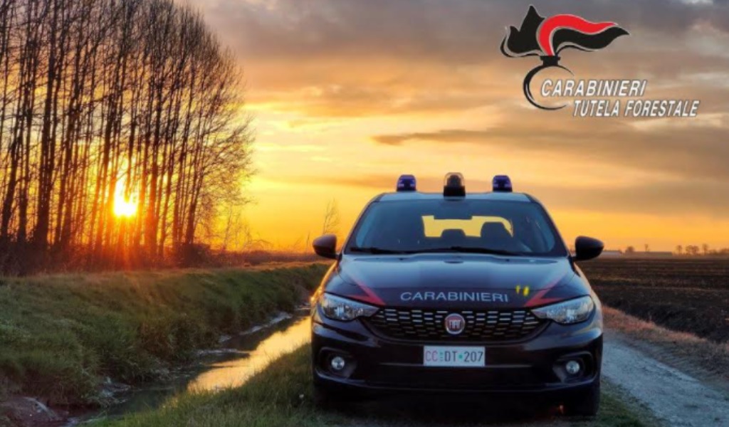 Perde il controllo del suv e finisce nel canale: salvata in extremis da un militare