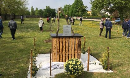 A Mantova c'è un parco dedicato alla commemorazione delle vittime di Covid-19 