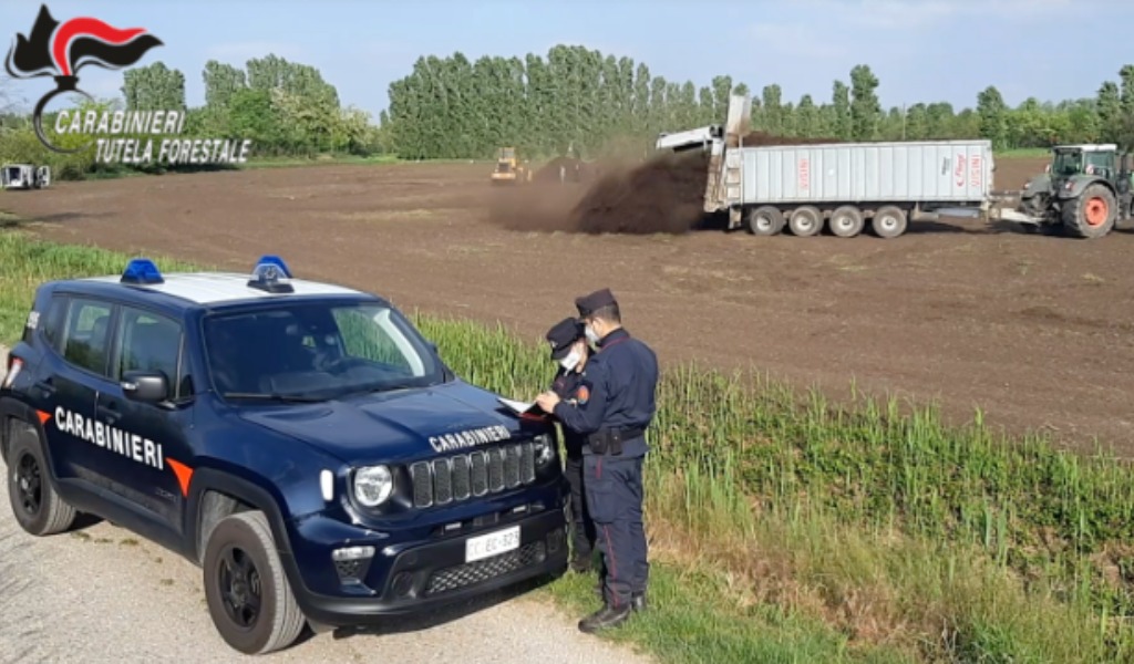 Fanghi su terreni agricoli mantovani al posto del concime: truffa milionaria