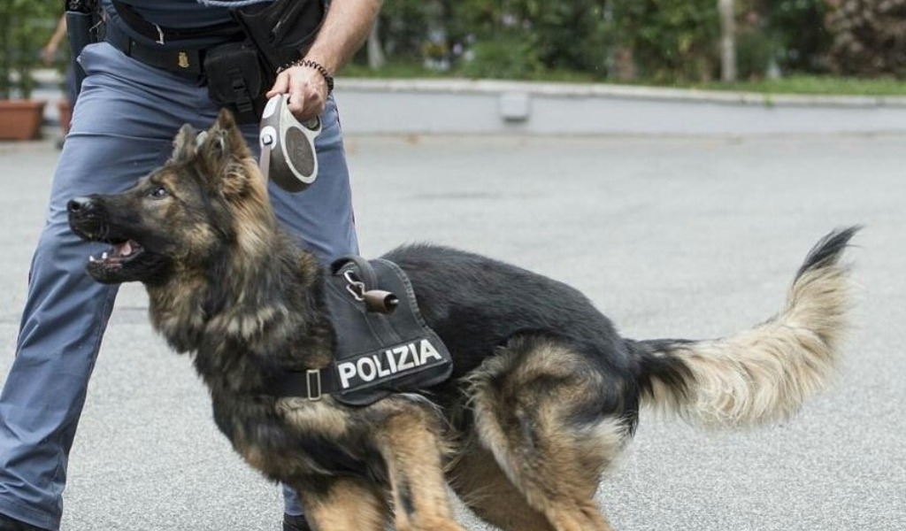 Operazione antidroga, arrestati 4 spacciatori al bar