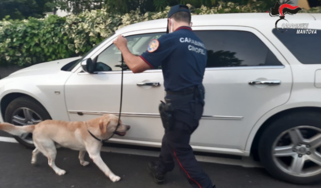 Blitz antidroga nel Basso Mantovano, pusher 33enne in manette