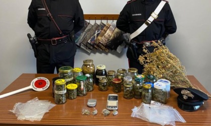 Arrestati due fratelli sorpresi con a coltivare marijuana